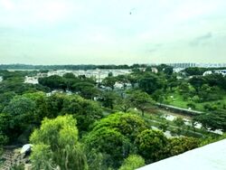 Blk 117 Chong Pang Vale (Yishun), HDB 4 Rooms #603706161